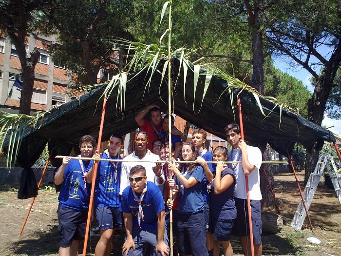 trepuzzi 2011-2 (12)